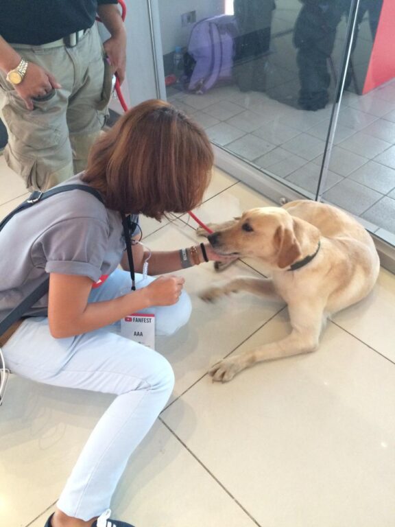 Awww. Dog. While the fans are doing Meet and Greet with YouTube creators, here I am petting this adorable Labrador. Look at that face. Isn’t he cute?